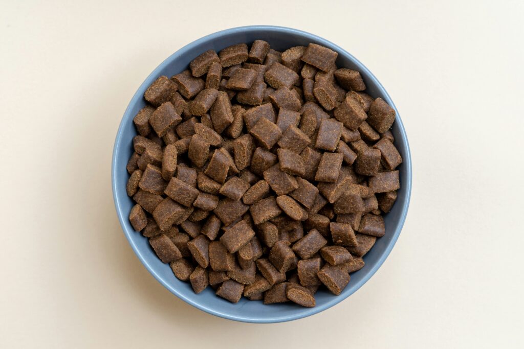 homemade dog food vs kibble