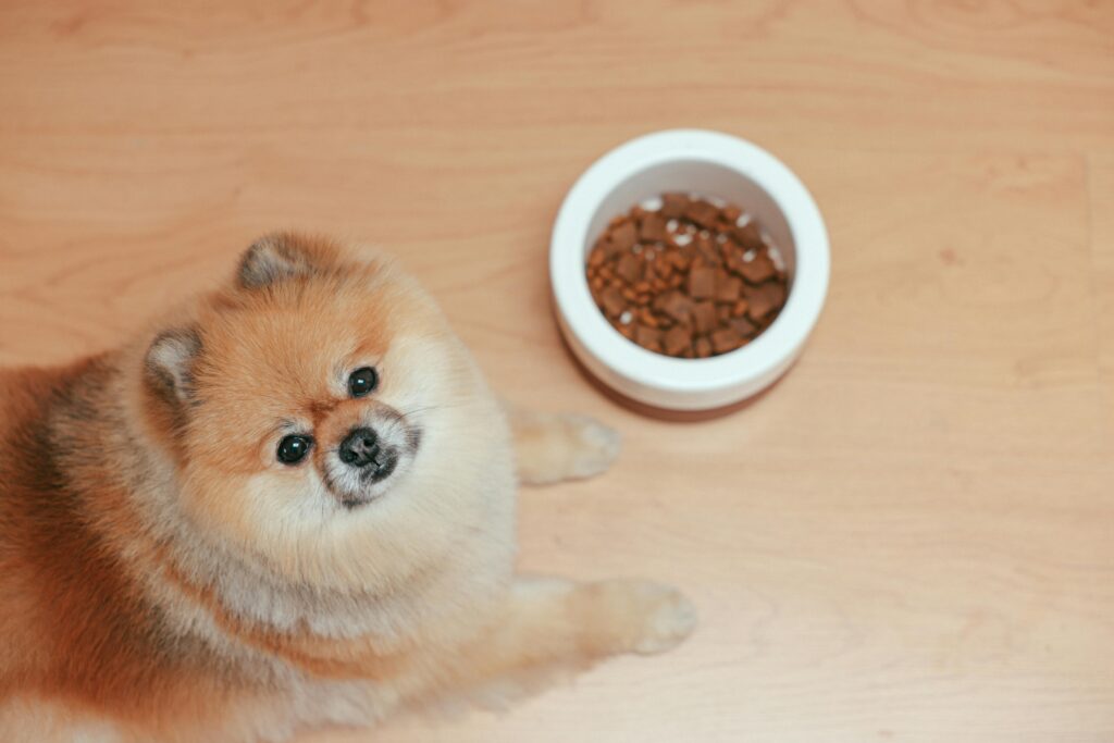 commercial dog food